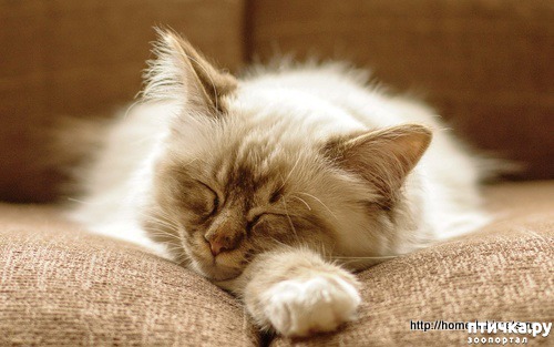 ���� 3: ������ � �����