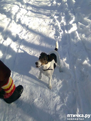 ����: ������ ���