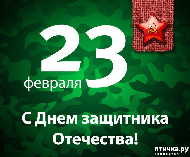 ���� 1: 23 �������!