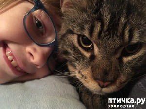 ����: ��� ������ � ����� ����� )