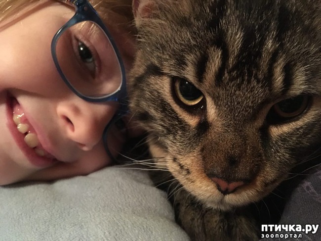 ���� 1: ��� ������ � ����� ����� )