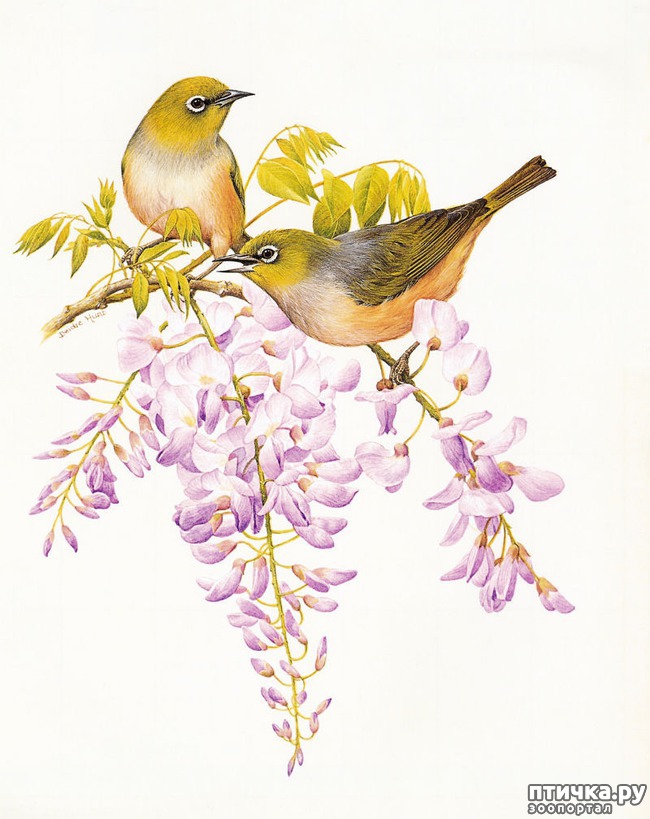 ���� 2: ��� ������, �� ����! (����� �� ����� ���)