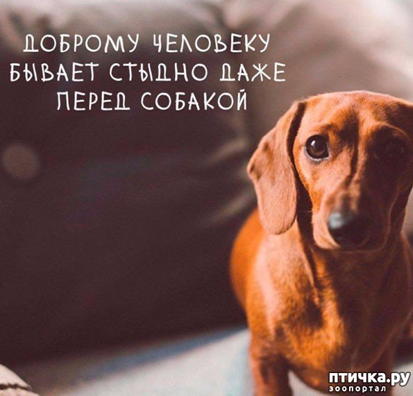 ���� 1: ������� ��������...