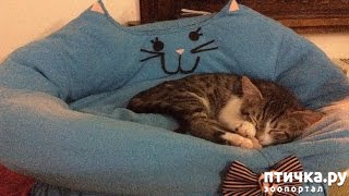 ���� 5: ���! ��������!