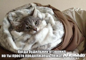 ����: ���! ��������!