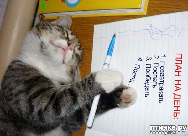 ���� 2: ���! ��������!