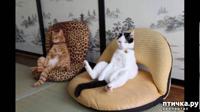 ���� 6: ���! ��������!