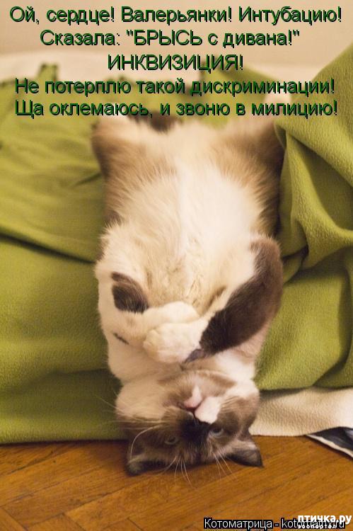 ���� 10: ���! ��������!