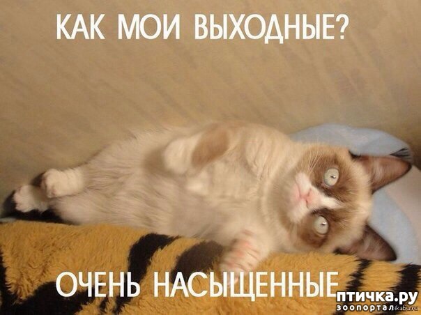 ���� 12: ���! ��������!