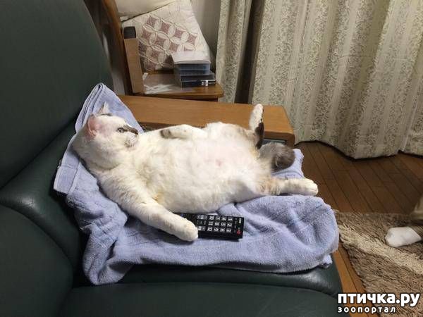 ���� 11: ���! ��������!