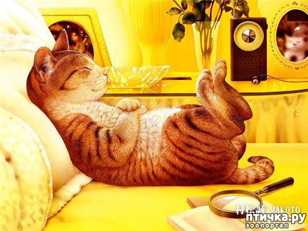 ���� 18: ���! ��������!