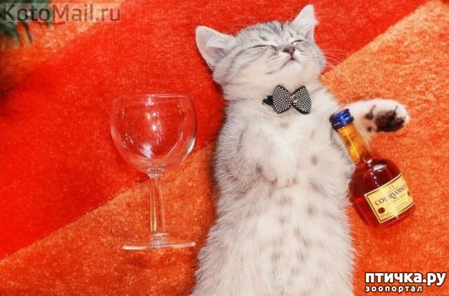 ���� 21: ���! ��������!