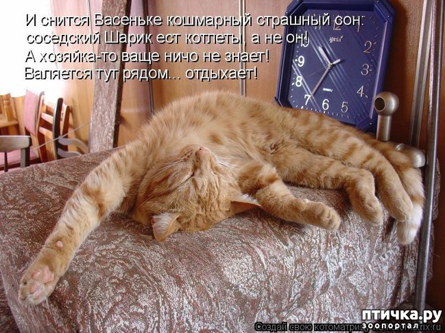 ���� 14: ���! ��������!