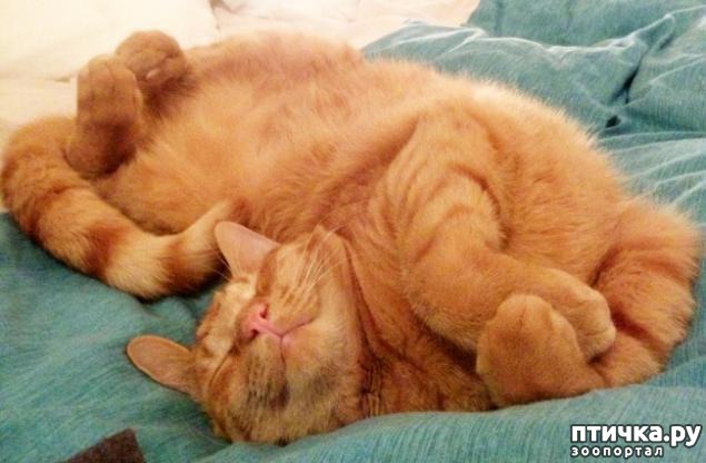 ���� 19: ���! ��������!