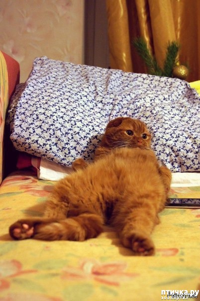 ���� 20: ���! ��������!