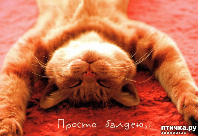 ���� 22: ���! ��������!