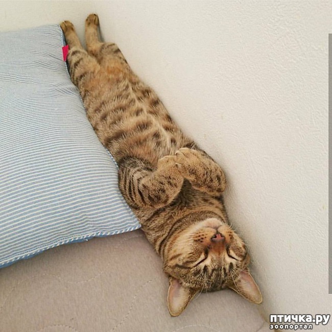 ���� 13: ���! ��������!