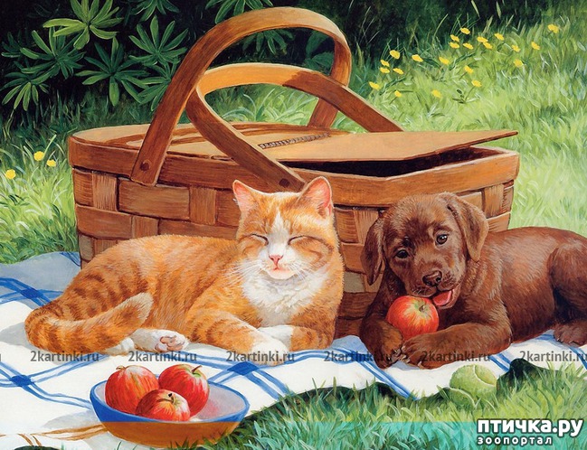 ���� 24: ���! ��������!