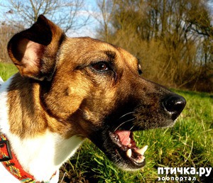 ����: ������ �����