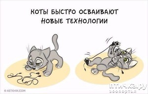 ����: � ���������� ����.