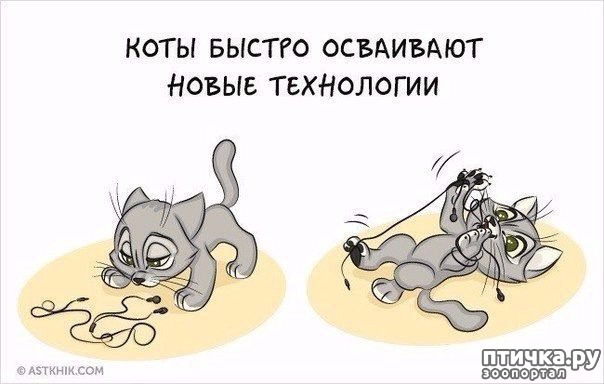 ���� 1: � ���������� ����.