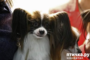 ����: ����� ����������! :)