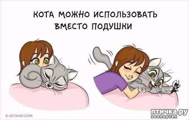 ���� 2: � ���������� ����.