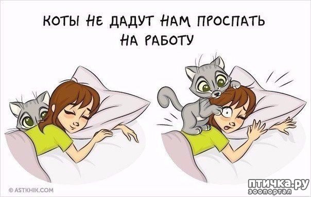 ���� 3: � ���������� ����.