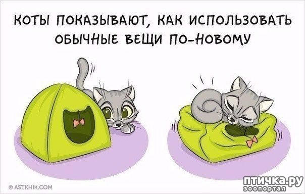 ���� 4: � ���������� ����.