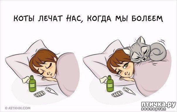 ���� 5: � ���������� ����.