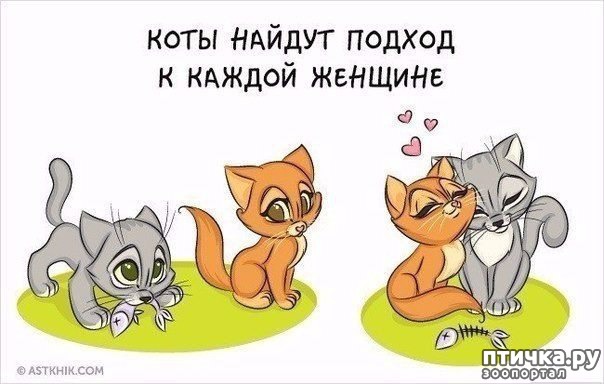 ���� 6: � ���������� ����.