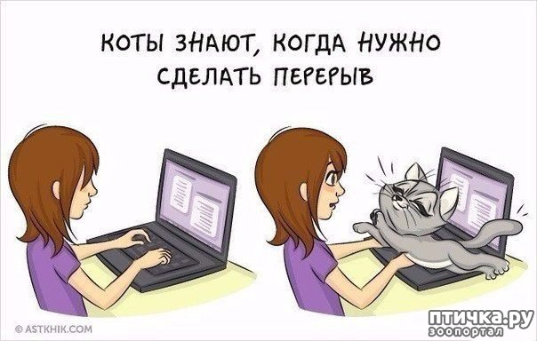 ���� 7: � ���������� ����.