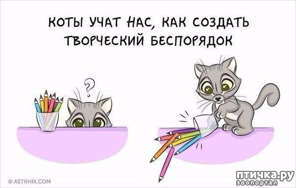 ���� 8: � ���������� ����.