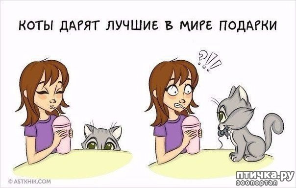 ���� 9: � ���������� ����.