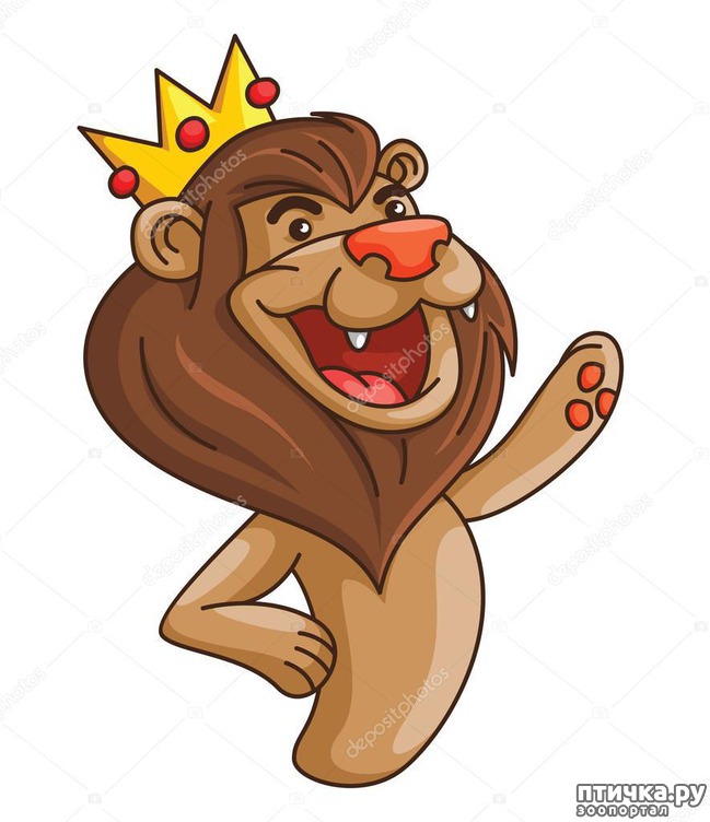 ���� 1: �������� � �������� (����� �� ����� ���)