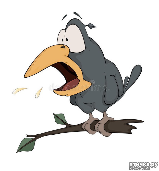 ���� 1: ��� ������, �� ����! (����� �� ����� ���)