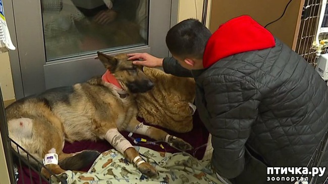 ���� 8: ��� �������� ������� ������ ������� � ���� �� ���������� ������