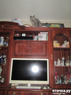 ����: �� ������!