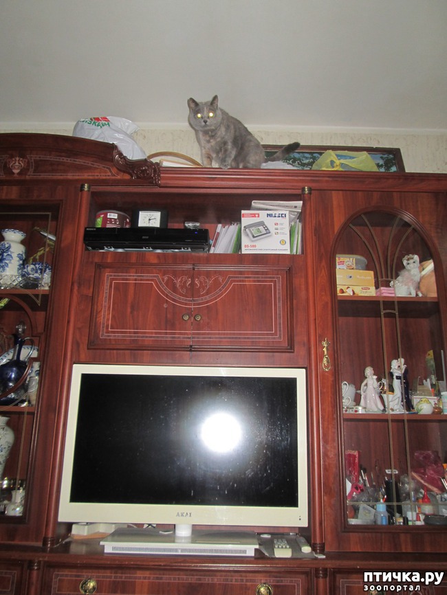 ���� 1: �� ������!