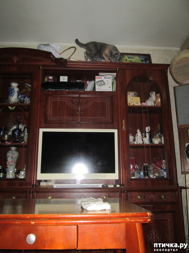 ���� 2: �� ������!