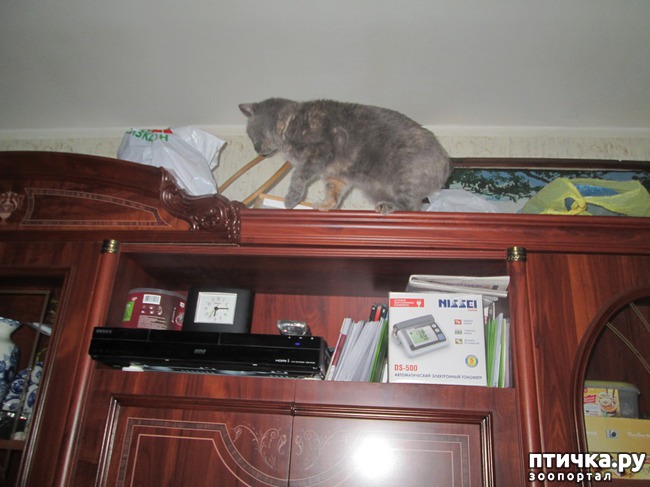 ���� 3: �� ������!