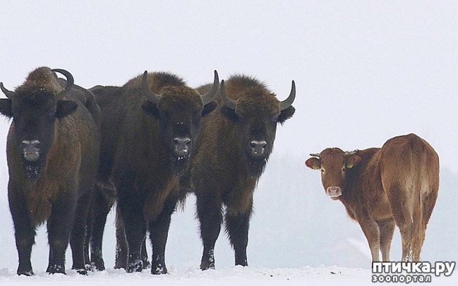 ���� 1: �������� ������, ������� ������ ���� ��������� �� ����, ������� � ���� � ����� � �������