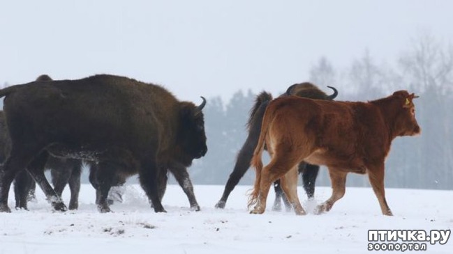 ���� 3: �������� ������, ������� ������ ���� ��������� �� ����, ������� � ���� � ����� � �������