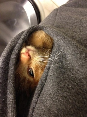 ����: ��� ���� �� ������, ���� �� � ������� � ������� ��� �����