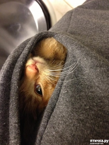 ���� 1: ��� ���� �� ������, ���� �� � ������� � ������� ��� �����