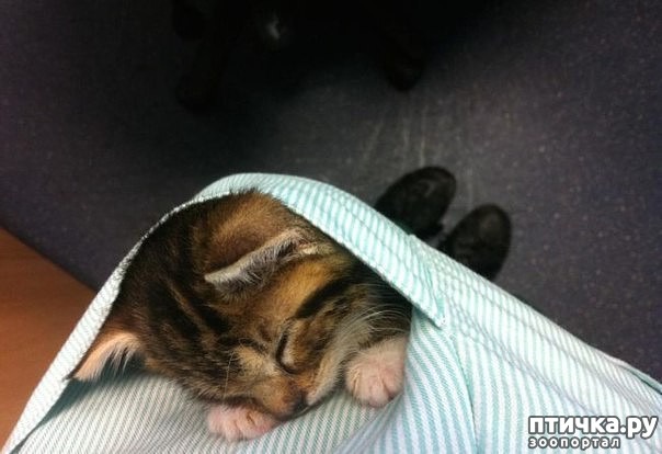 ���� 3: ��� ���� �� ������, ���� �� � ������� � ������� ��� �����