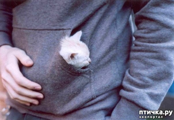 ���� 4: ��� ���� �� ������, ���� �� � ������� � ������� ��� �����