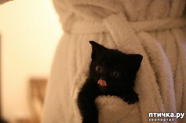 ���� 6: ��� ���� �� ������, ���� �� � ������� � ������� ��� �����