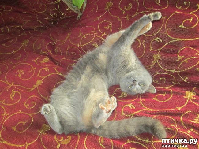 ���� 1: ������� � ������ ����� � ������.