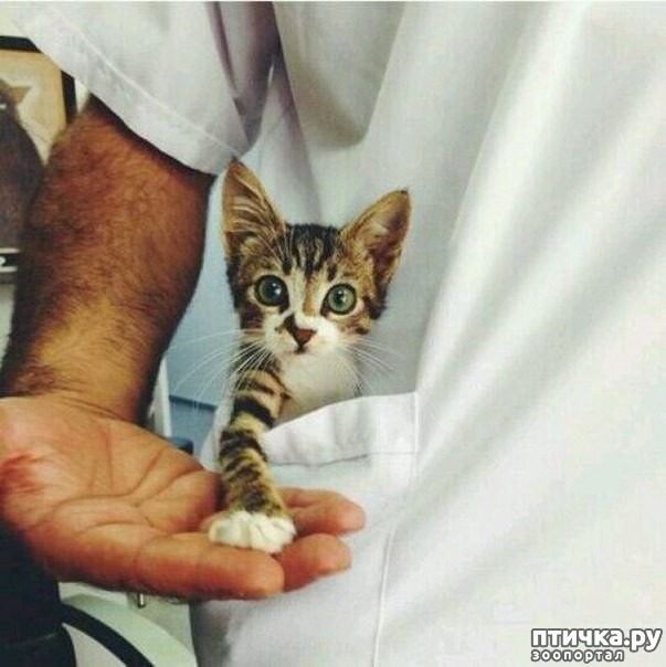 ���� 9: ��� ���� �� ������, ���� �� � ������� � ������� ��� �����